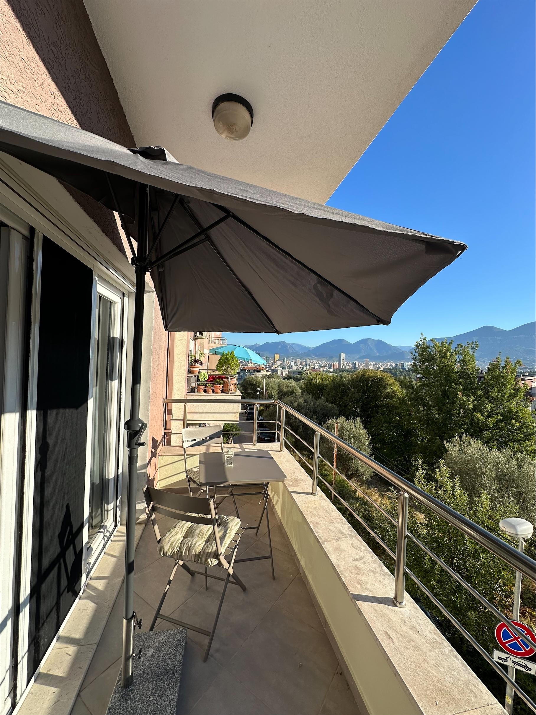 Olive Hill Apartment6